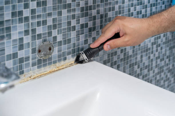 Best Mold Remediation  in East Quogue, NY