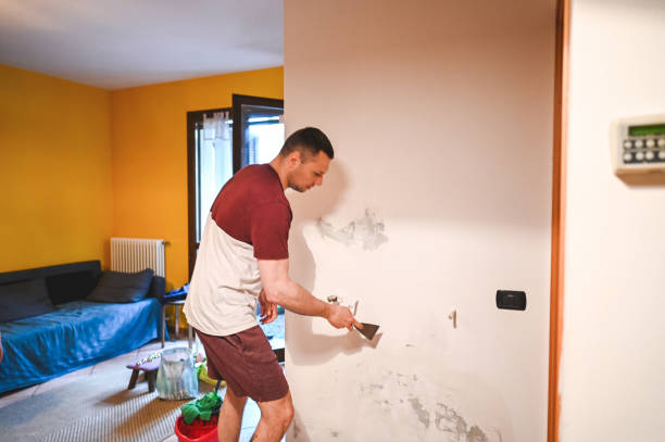Best Residential Mold Removal  in East Quogue, NY